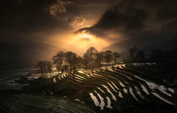 Picture Vietnam, Sapa, Rice Terrace