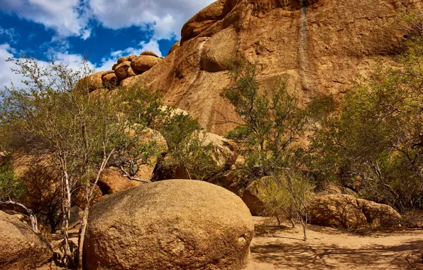 Picture the sky, the sun, clouds, trees, mountains, stones, rocks, Namibia