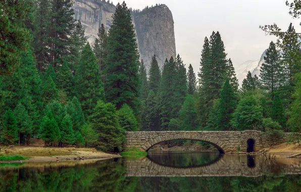 Picture forest, trees, mountains, bridge, river, rocks