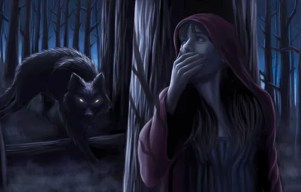 Forest, girl, night, wolf, little red riding hood