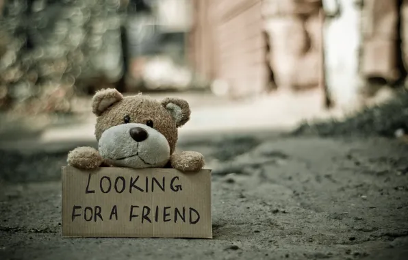 Picture toy, text, sign, mood, blur, bokeh, teddy bear, inscription