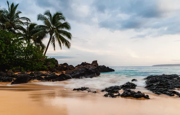Beach, Water, Sand, Ocean, Stones, Waves, Palm Tree
