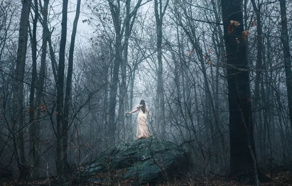 Picture forest, girl, fog, stone, insect, Aleah Michele