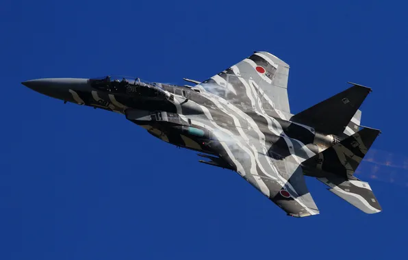 Picture flight, fighter, Mitsubishi, BBC Japan, F-15DJ