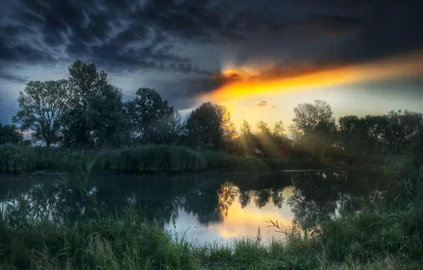 Trees, house, pond, dawn, The sun