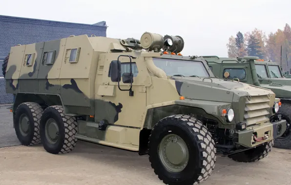 MIC, -III, "the Wolf, 39273