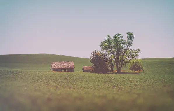 The sky, trees, house, field, abandoned, solar, farm countryside
