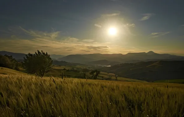 The sun, trees, sunset, hills, field, Italy