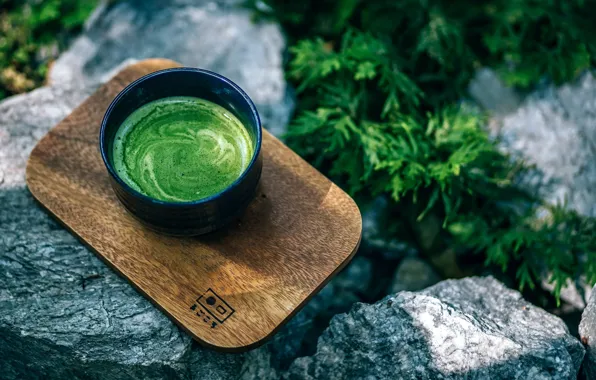 Nature, green, stones, tea, mug, Cup, drink, needles