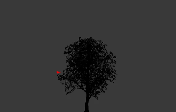 Picture tree, bird, black background, minimalism Wallpaper