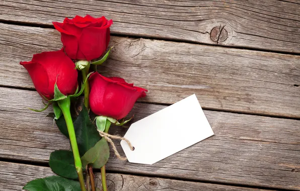 Love, flowers, romance, roses, bouquet, love, happy, Valentine's day