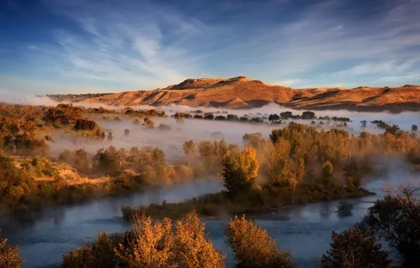 Picture the sky, trees, mountains, fog, river, island, morning