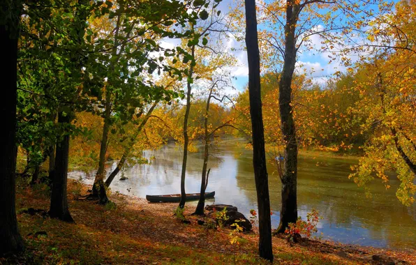 Picture autumn, forest, the sky, leaves, trees, landscape, river, boat