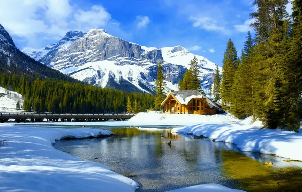 Picture winter, forest, the sky, clouds, snow, trees, landscape, mountains