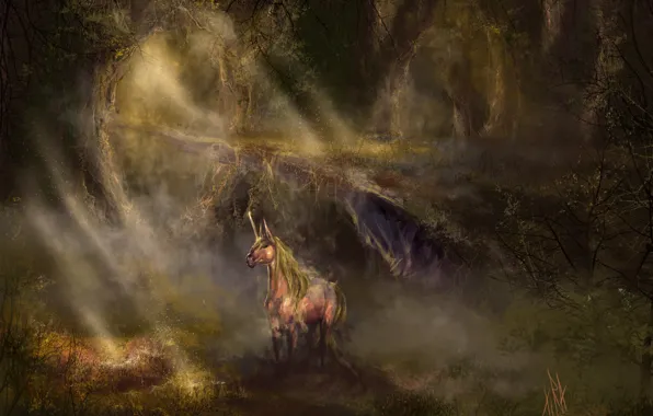 Forest, light, horse, thicket, fantasy, art, unicorn