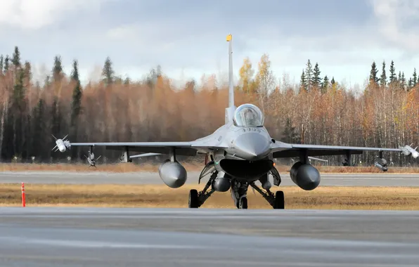The plane, the rise, WFP