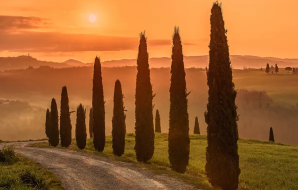 Picture Italy, Tuscany, Val d'orcia