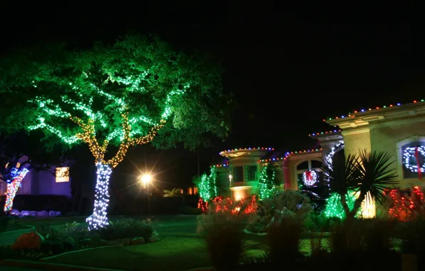 Picture decoration, trees, night, lights, lights, house, green, red