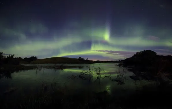 Stars, trees, landscape, night, Northern lights, pond