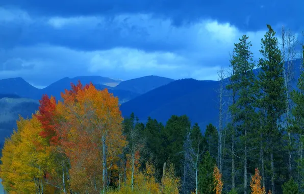 Picture autumn, the sky, trees, mountains, clouds