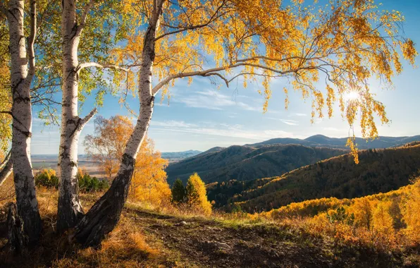 Autumn, forest, the sun, clouds, light, trees, landscape, mountains