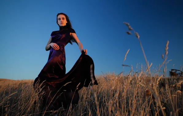 Picture girl, dress, countryside, blue hour
