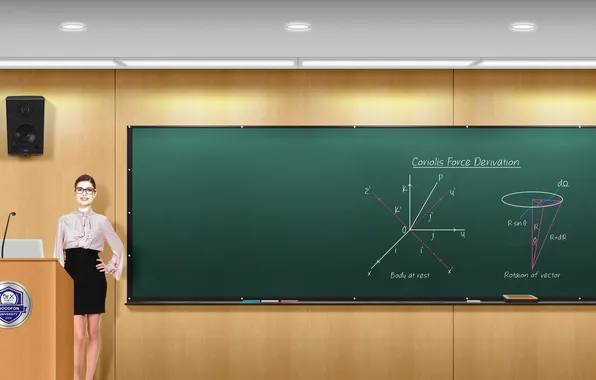 Chalk, chalkboard, teacher, class, eraser, physics, university, lecture