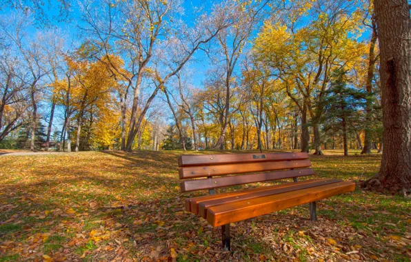 Picture autumn, the sky, leaves, trees, Park, bench