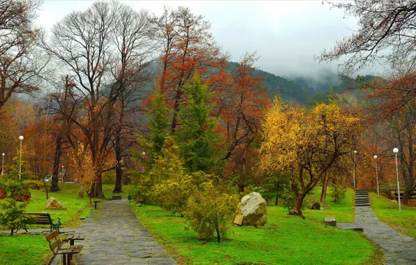 Picture Fog, Grass, Spring, Trees, Mountain, Park, Nature, Grass