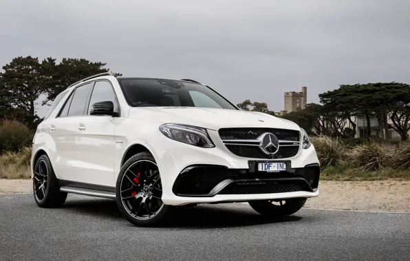 Mercedes-Benz, Mercedes, AMG, AMG, 2015, GLE-Class, W166