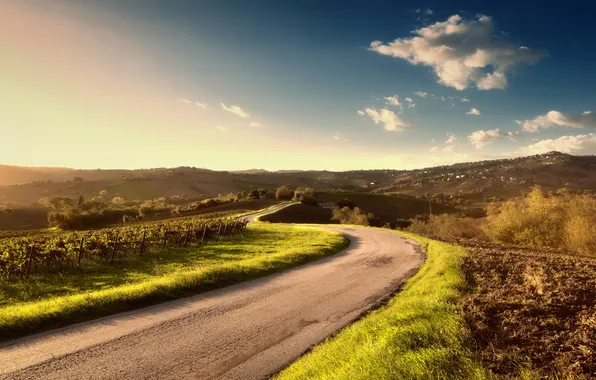 Road, summer, landscape