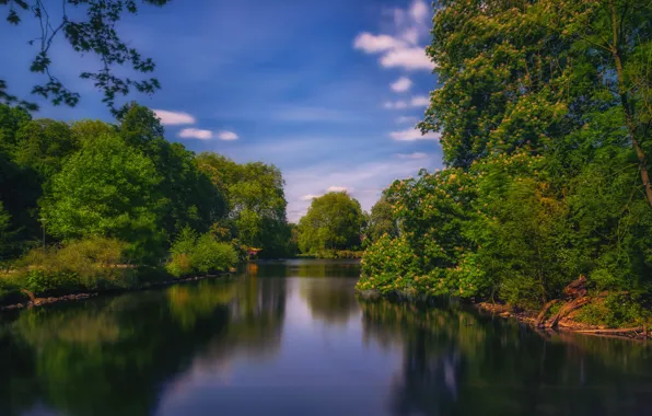 Summer, trees, river, Germany, Dortmund, Romberg Park
