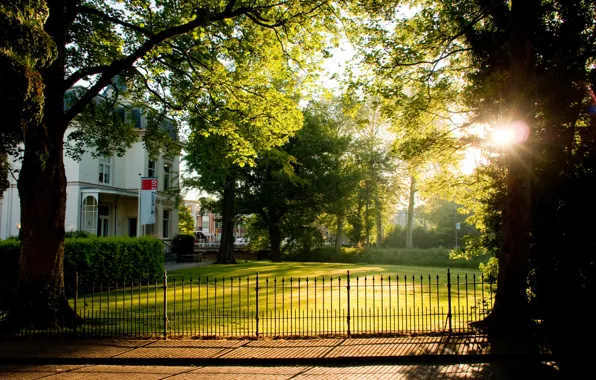 The sun, The city, Spring, The fence, Trees, House, Morning, Wallpaper