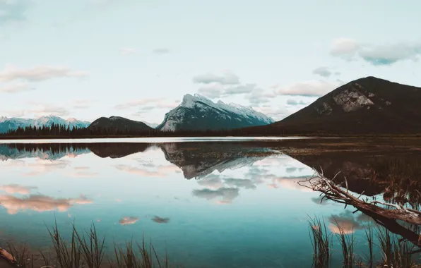 Forest, mountains, lake