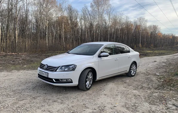 White, Sedan, Passat B7