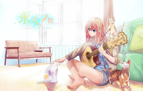 Cats, room, sofa, shorts, guitar, window, characters, vocaloid