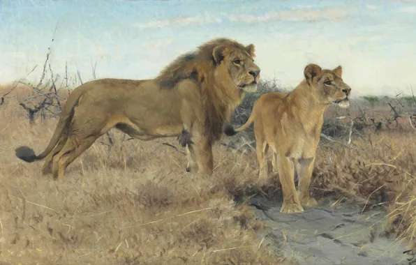 Picture 1922, German painter, Friedrich Wilhelm Kunert, German painter, Friedrich Wilhelm Kuhnert, Lions on the African …
