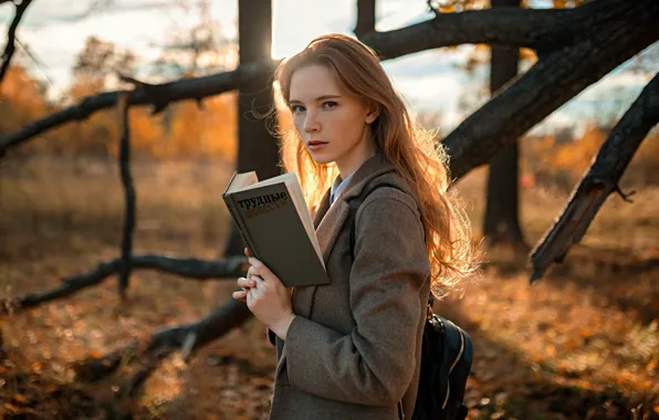 Autumn, look, leaves, girl, the sun, trees, Park, model