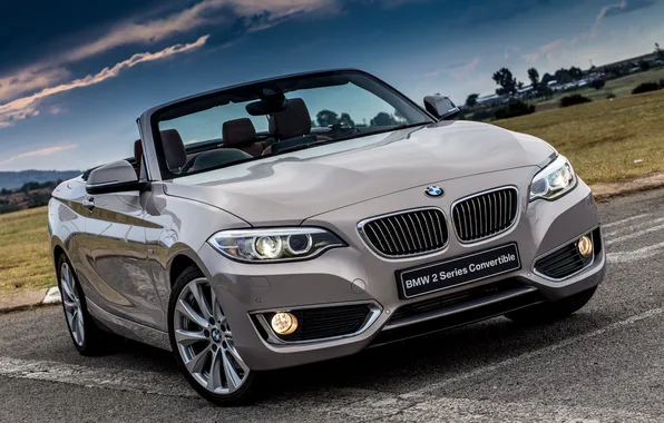 Picture BMW, BMW, convertible, Cabrio, Luxury, 2015, F23, ZA-spec