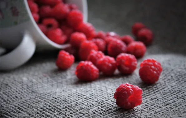 Picture berries, raspberry, still life, cottage