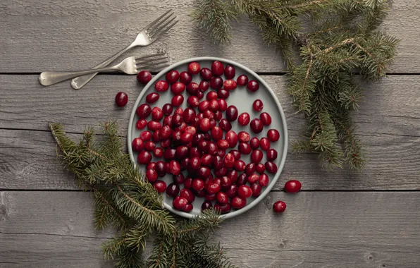 Berries, Board, needles, cranberry