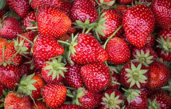 Berries, strawberry, red, fresh, ripe, sweet, strawberry, berries