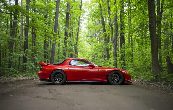 Road, forest, red, sports car, Mazda RX-7