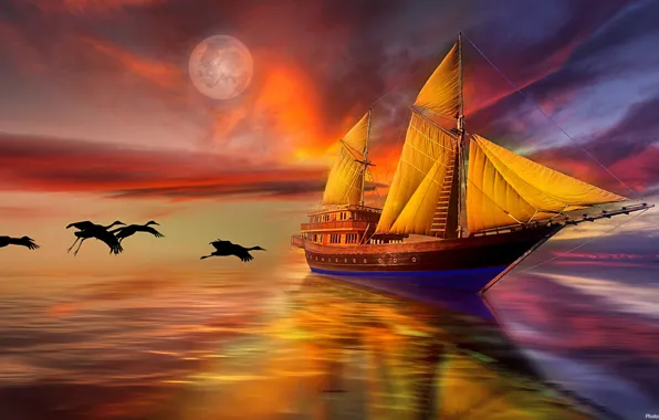 Picture sea, the sky, birds, sailboat