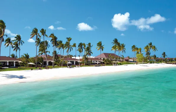 Picture beach, palm trees, the ocean, resort, Tanzania