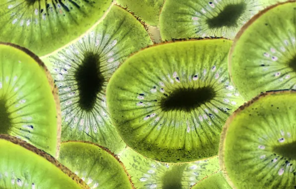 Texture, kiwi, fruit