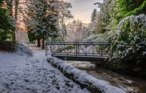 Winter, snow, trees, bridge