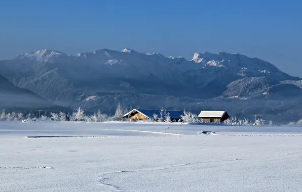 Winter, field, landscape, fog, home