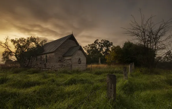 Field, grass, house, thickets, abandoned, wooden, the bushes, hut