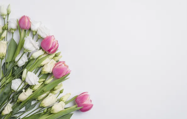 Flowers, bouquet, tulips, eustoma